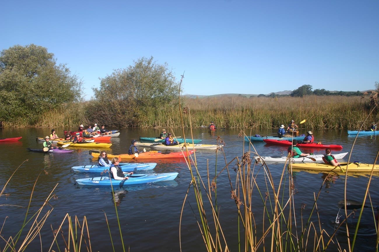 Drop-Off Kayak Rentals on Tomales Bay — Easy Access to Point Reyes Paddling photo 4