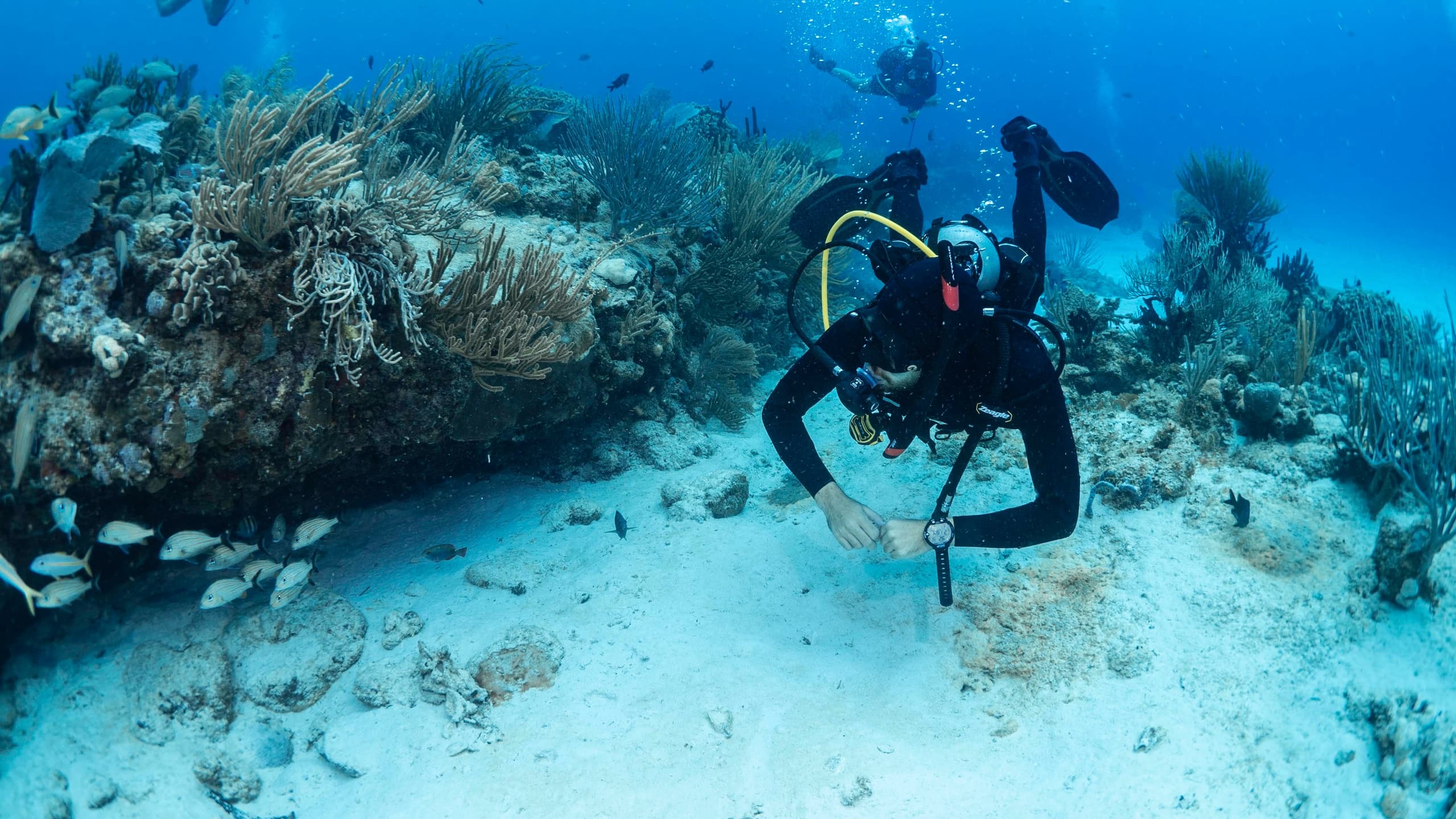 Scuba Diving at Bermuda Triangle Dive Shop