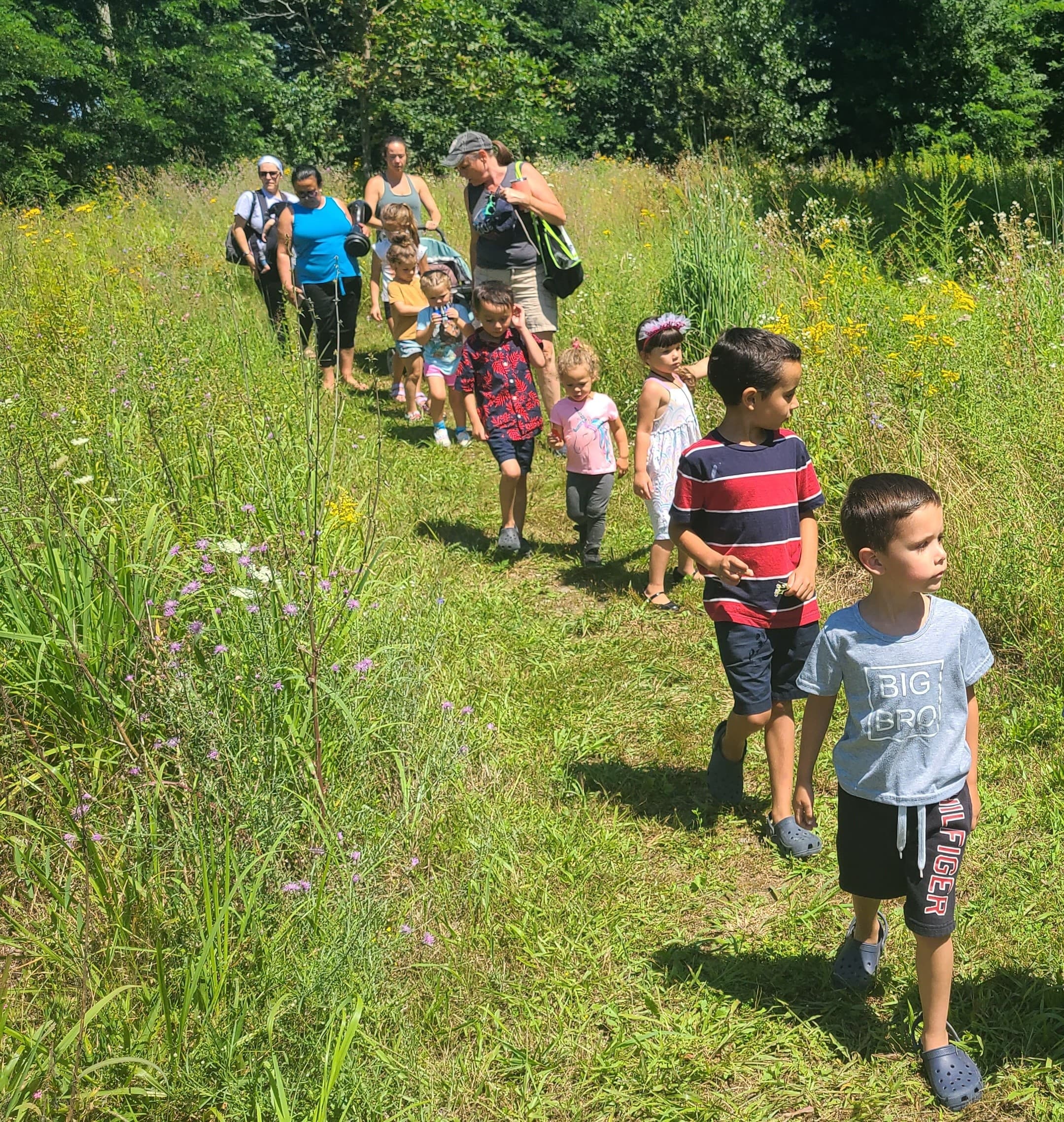 Wildlife & Nature: Itty-Bitty Bay Adventure at The Sawmill