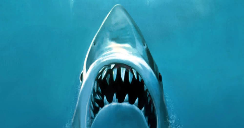 Martha's Vineyard Boat Tour | Jaws Filming Locations