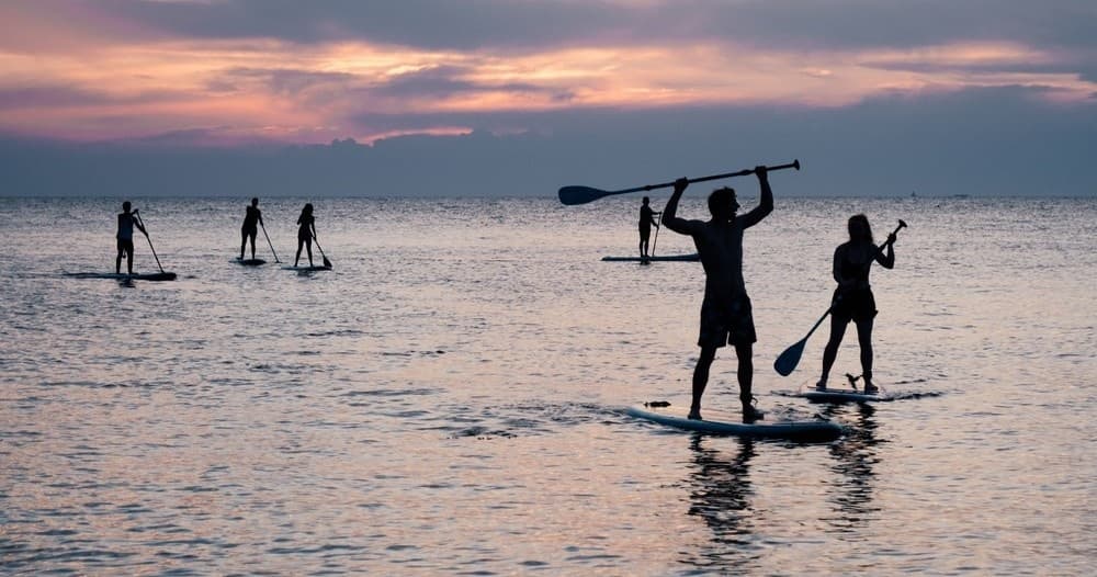Stand-up paddleboarders silhouetted at sunset on calm sea