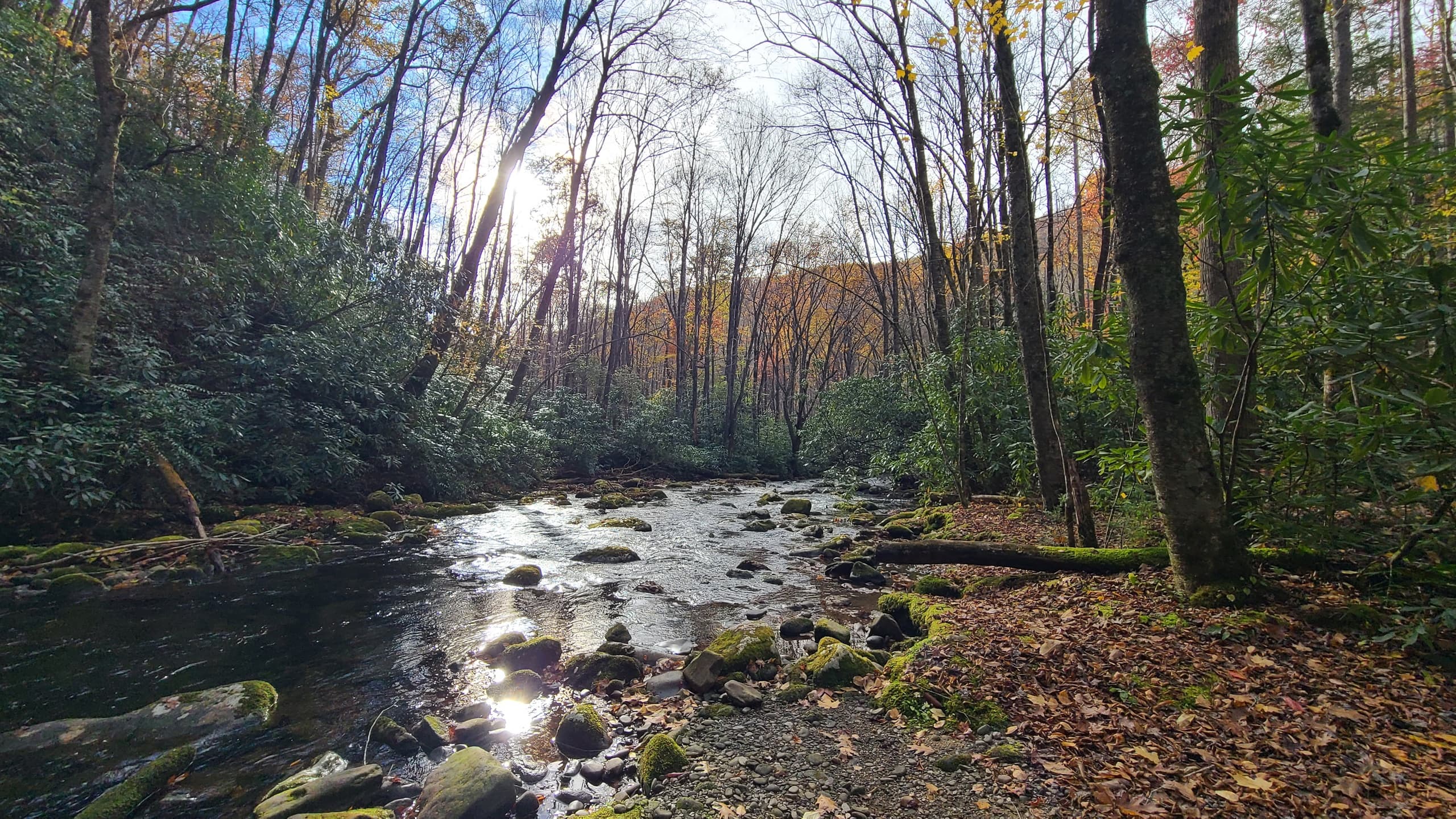 Silver Steps: 60+ Women's Two-Day Backpacking in the Great Smoky Mountains