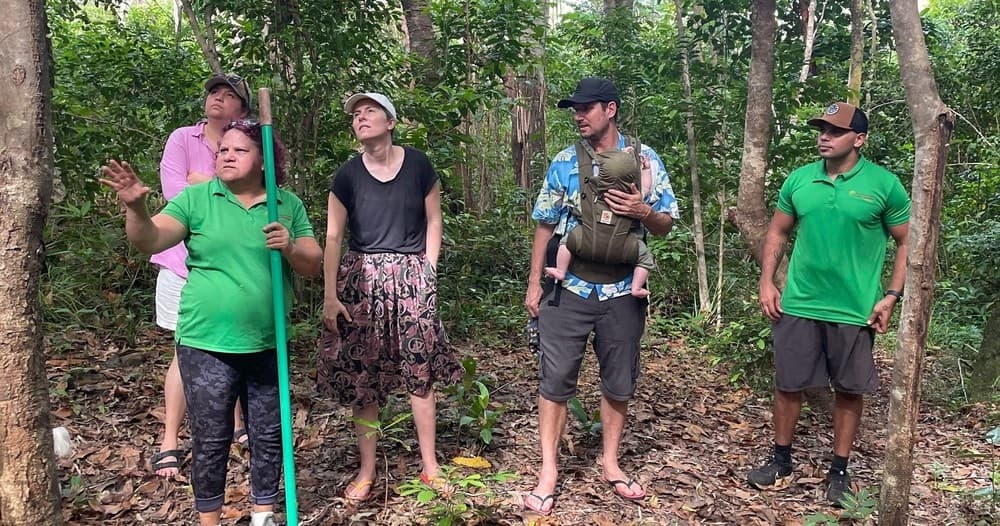 Paperbark Arts & Cultural Tours: On Country Paperbark Journey in Yarrabah