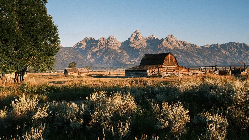 Wildlife & Mountain Biking with Good Trip Adventures in Grand Teton photo 1