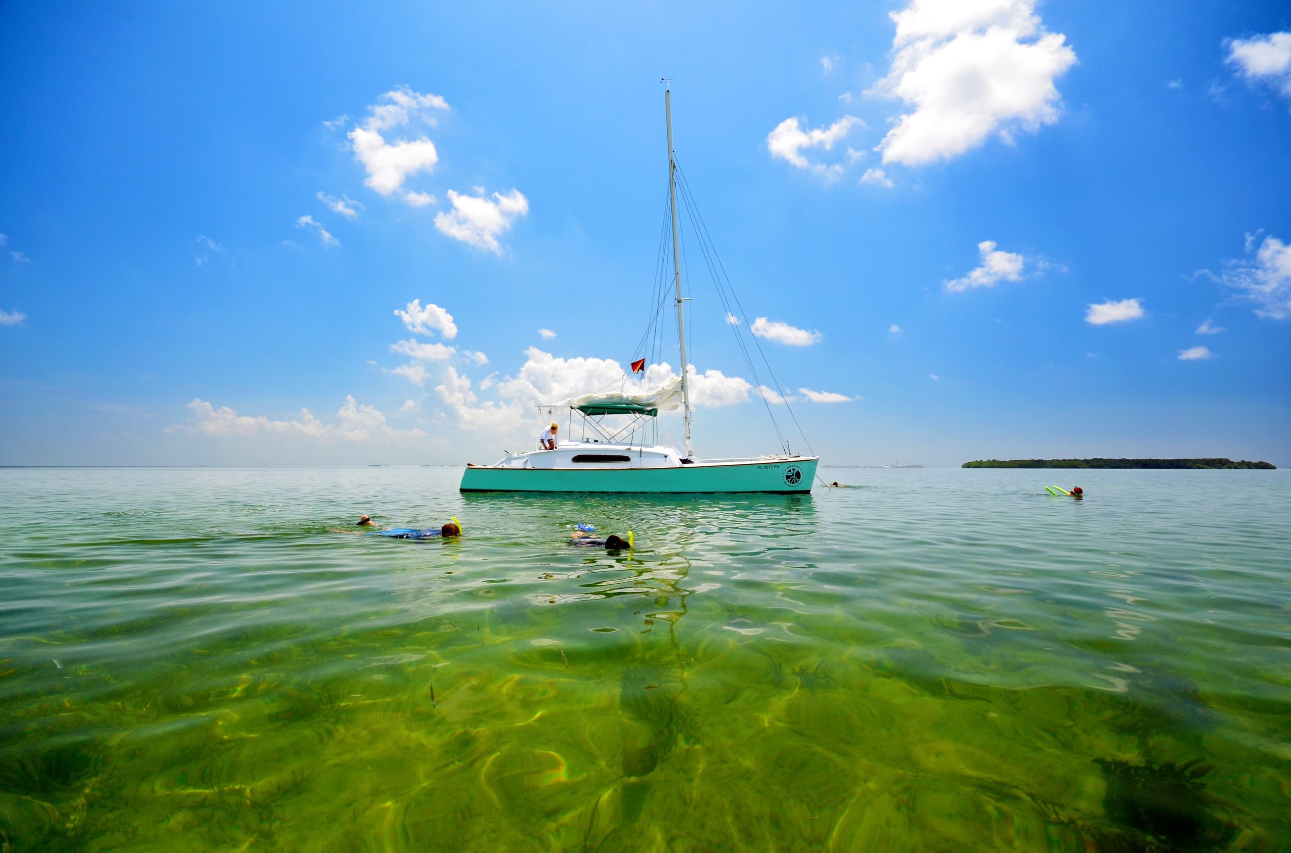 Key West Private Dolphin Watch and Snorkel Aboard Java Cat