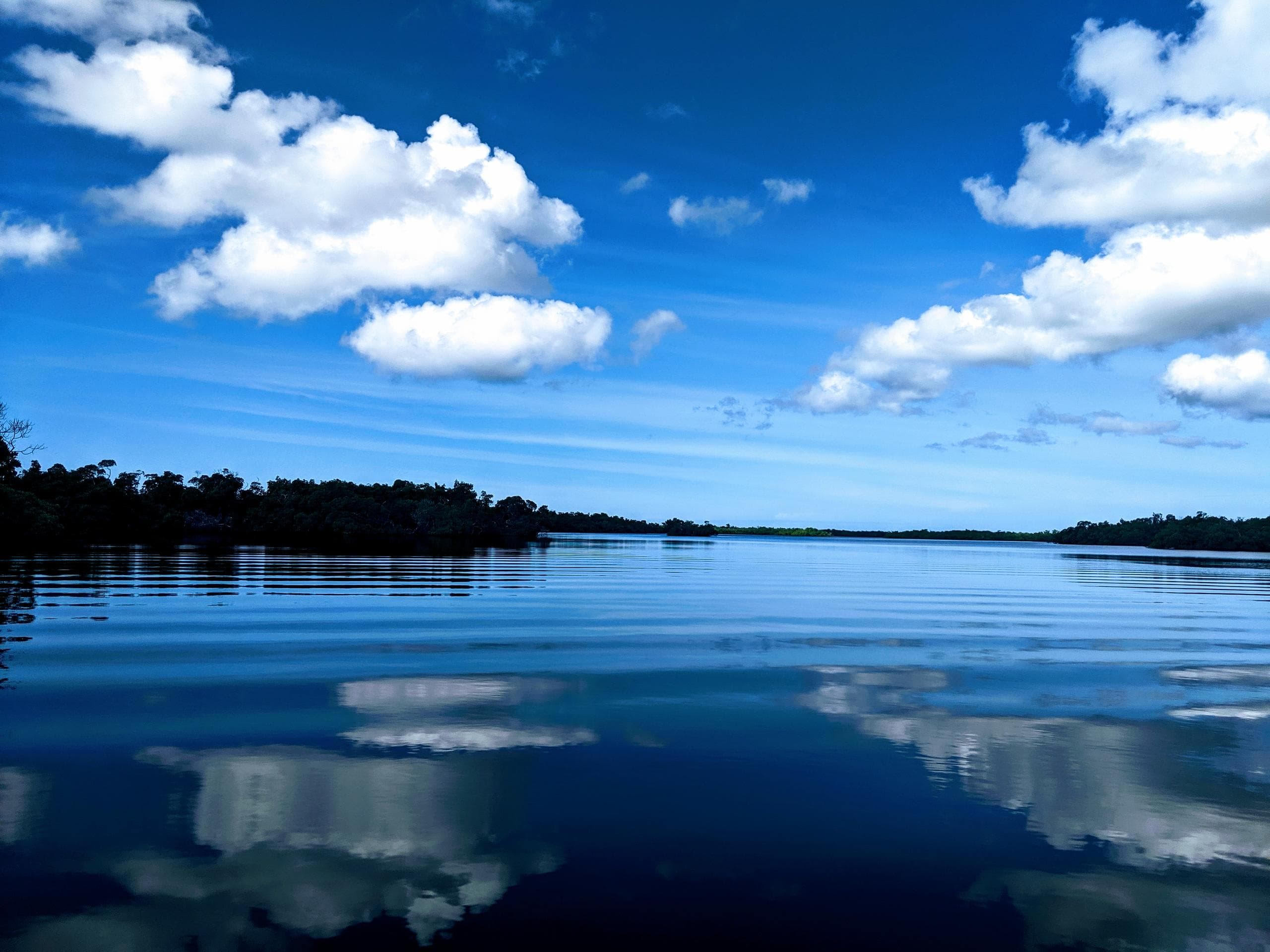 Calm coastal water reflecting blue sky, scenic eco-tour inlet