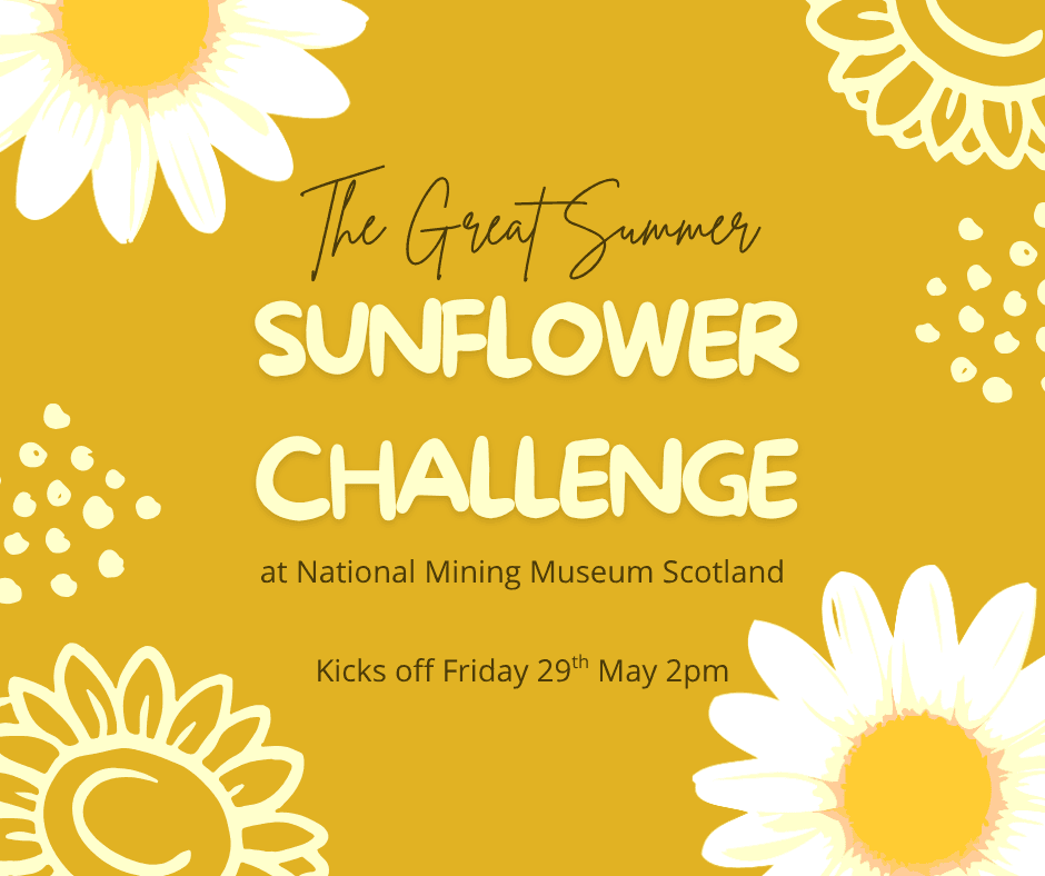 Great Summer Sunflower Challenge: Family Pot-Painting & Garden Workshop in Newtongrange photo 1
