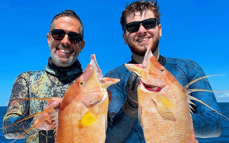Tavernier Spearfishing Charter: Freediving Reefs and Wrecks in the Florida Keys