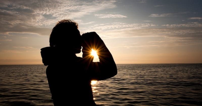 Water Activities with Kullabergsguiderna: Sunset Dolphin Safari