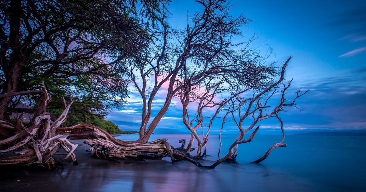 Capturing Sunset Magic: A 3-Hour Photography Tour Along Olowalu Coast, Maui