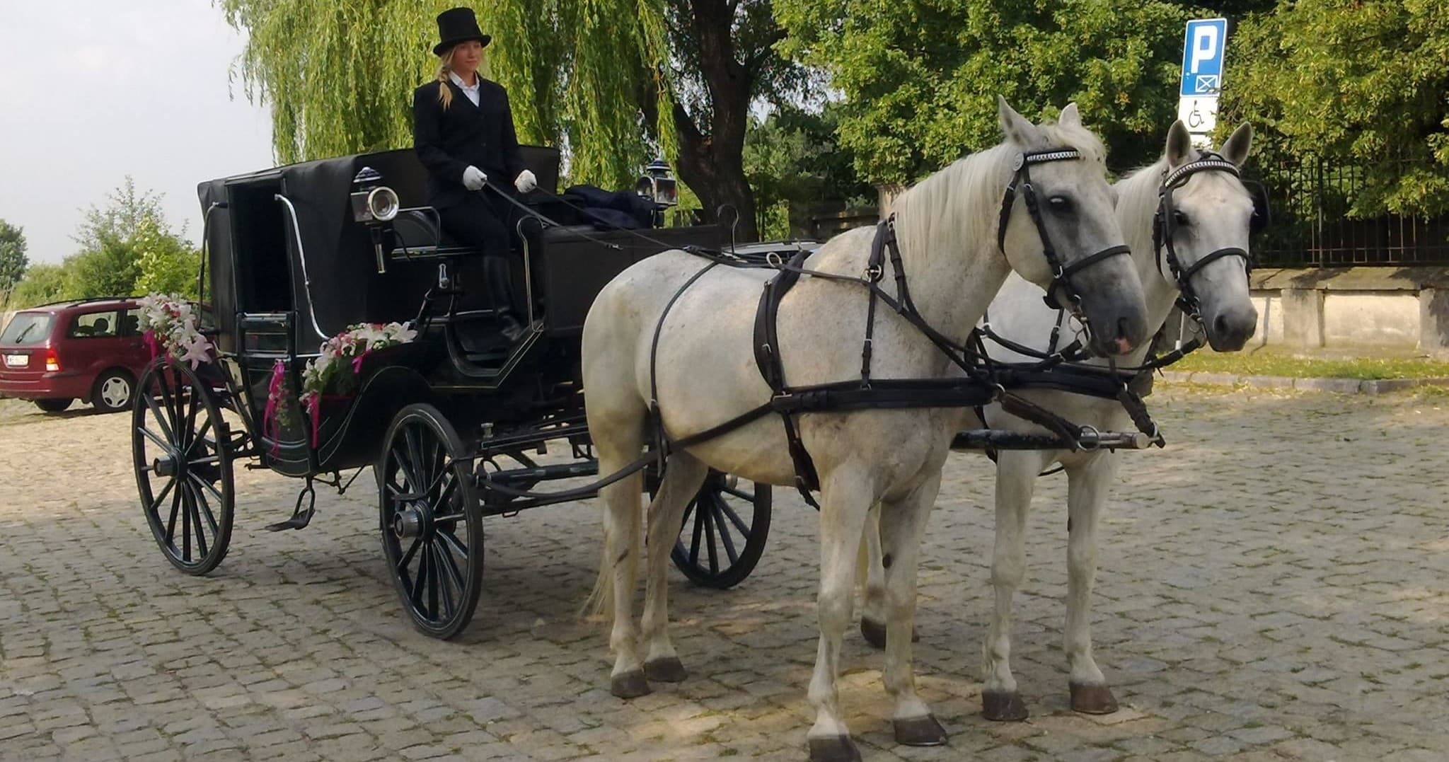 Horse Carriage Ride in Warsaw - AB Poland Travel
