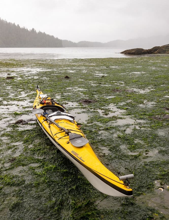 Kayaking Adventures with Comox Valley Kayaks & Canoes in Courtenay