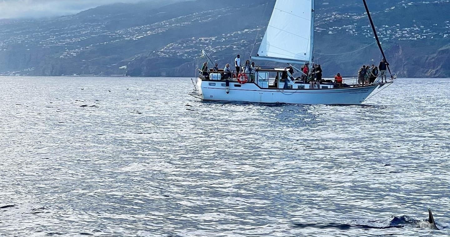 Sailboat offshore near rugged coastline with passengers aboard