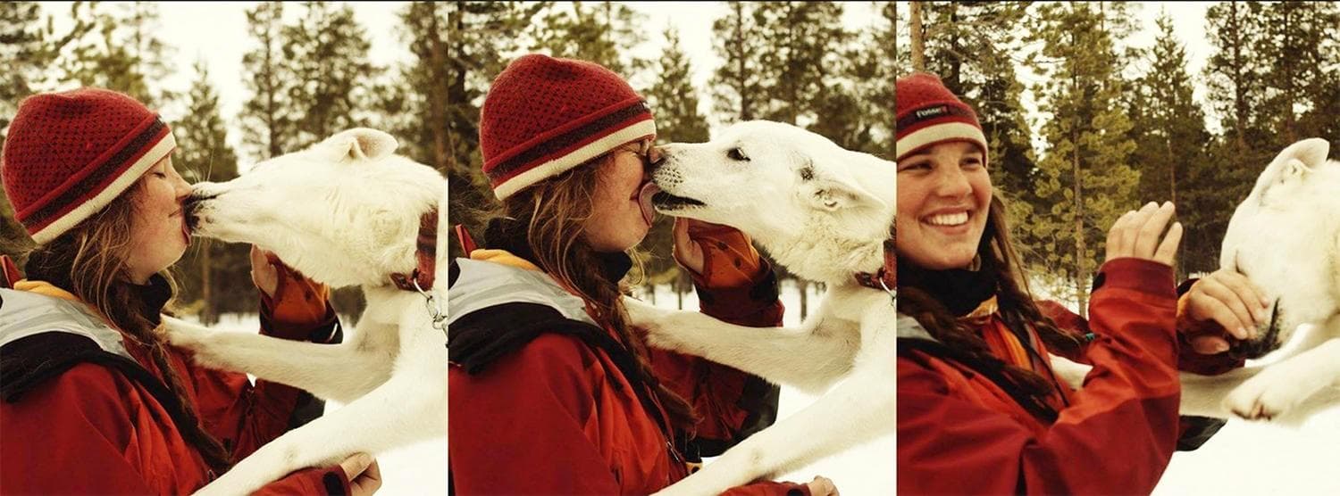 Farm Tours at Hetta Huskies: Dog-Powered Adventure in [Location]