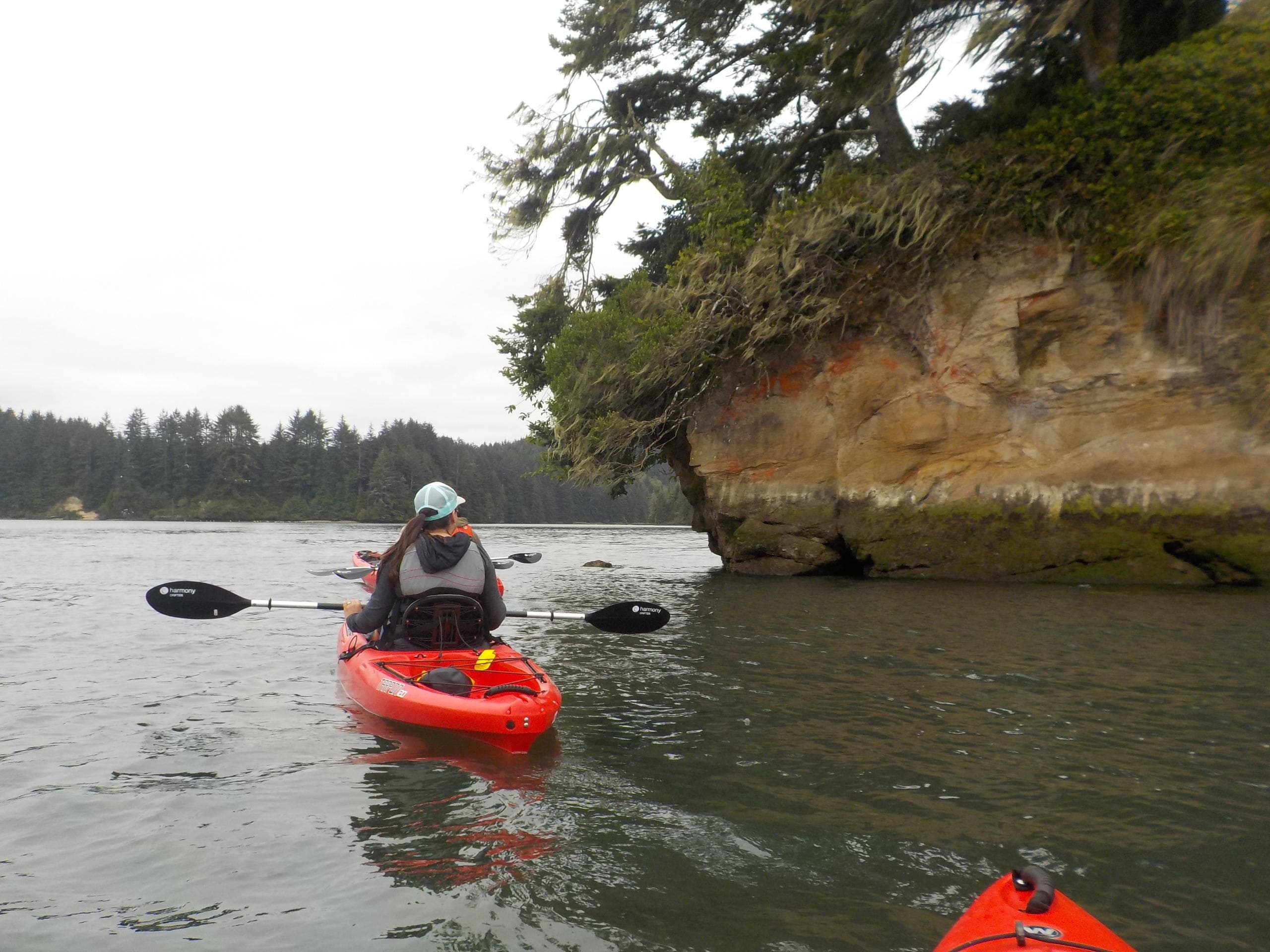 Wildlife & Nature Adventure with South Slough Coos Bay Tours