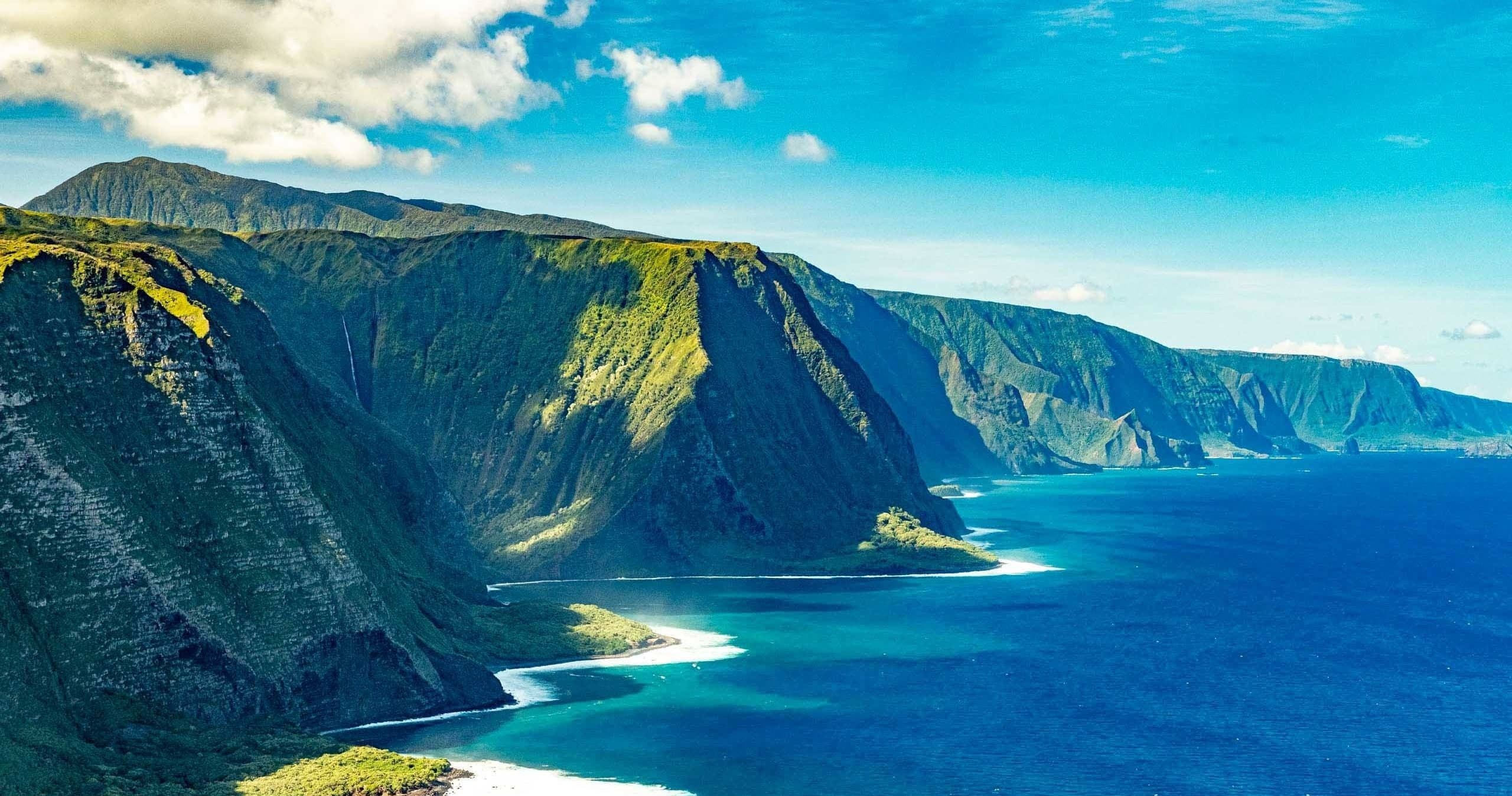 Seamless Airport Transfers with Maui Charter Services Minivan