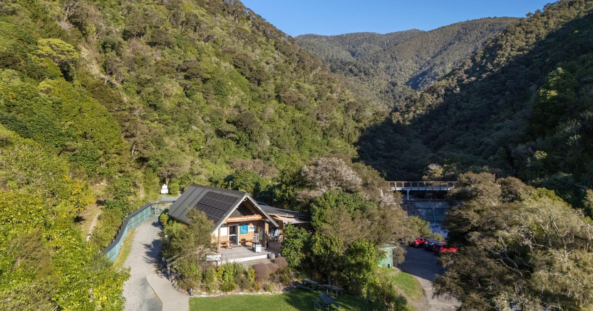 Experience the Magic of a Night Walk at Brook Waimārama Sanctuary in Nelson
