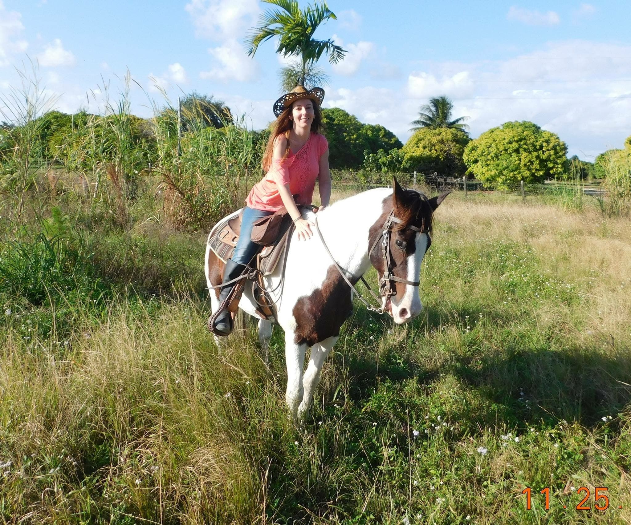 Western Riding & Farm Tour at Totally Horse Camp