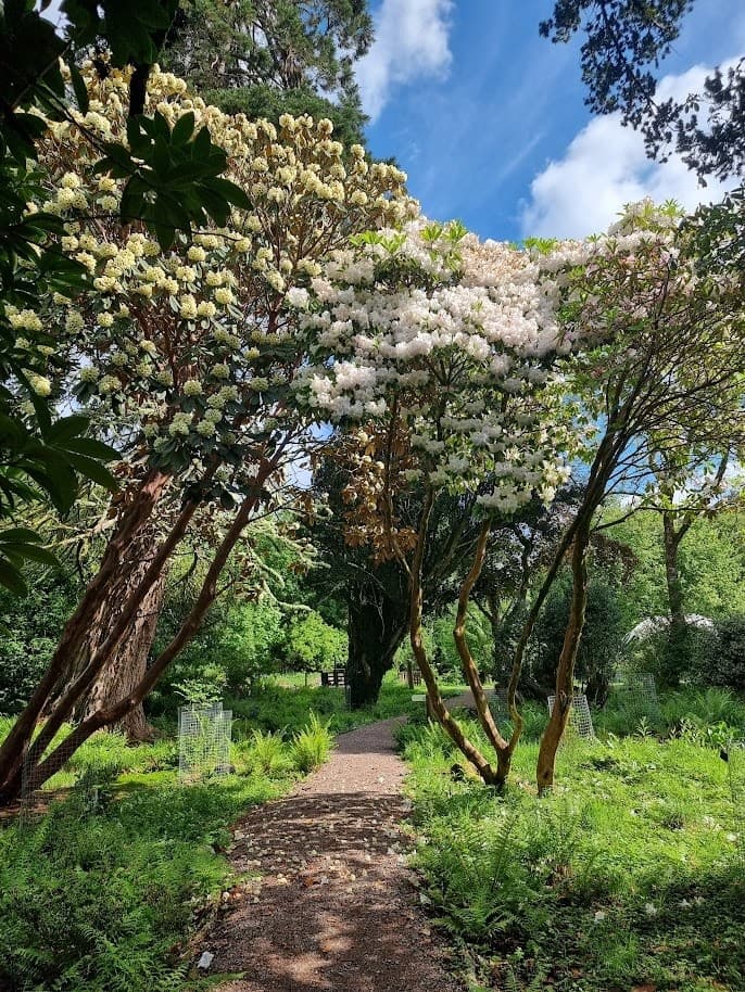 Garden Tour at Dunollie Castle: Guided Walk Through Historic Grounds near Oban
