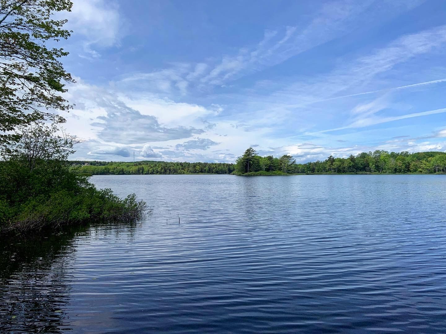 Freshwater Kayaking at Jones Pond with Sea Schoodic Kayak & Bike