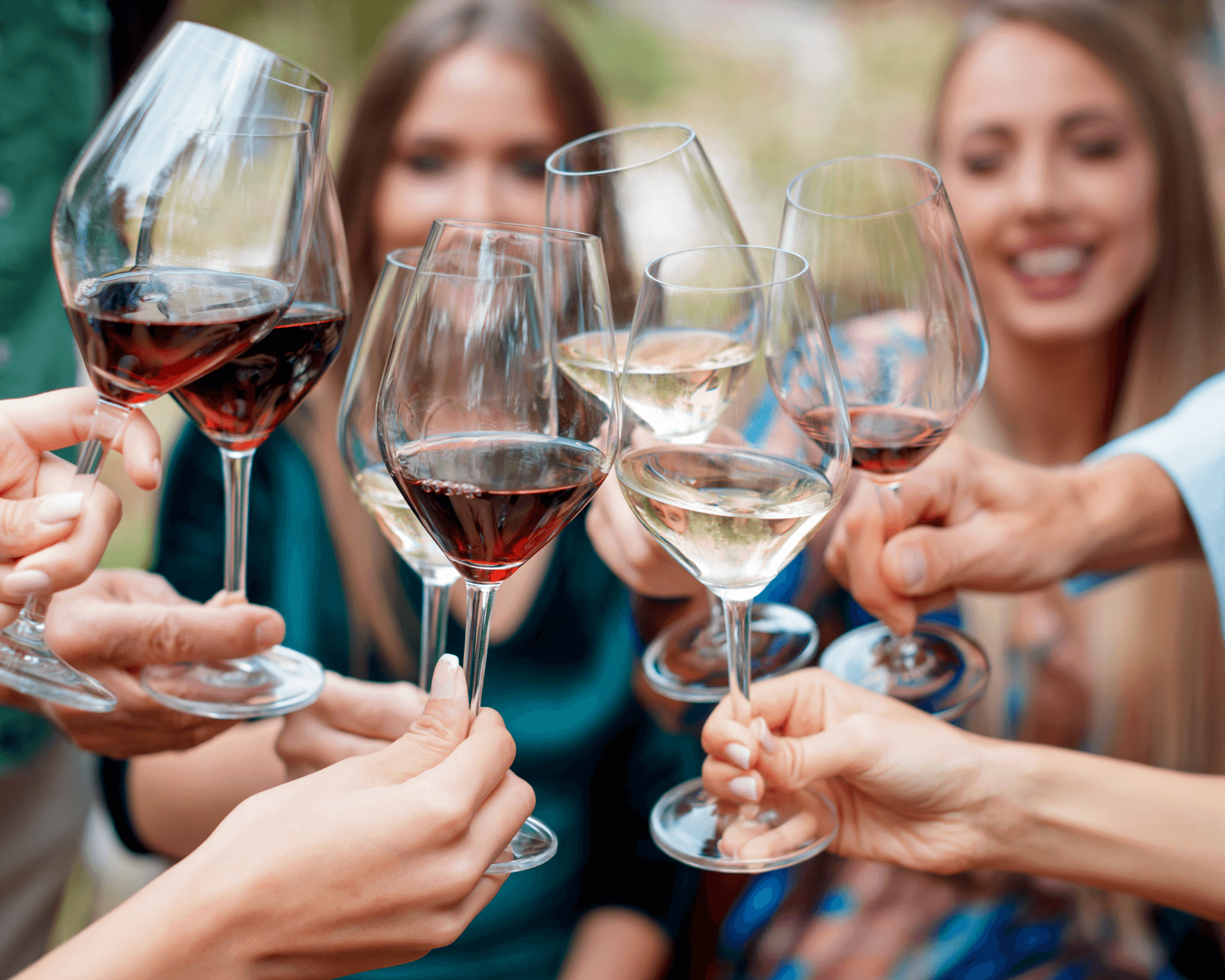 Land Adventures with Door County Trolley's Luxury Wine Tour