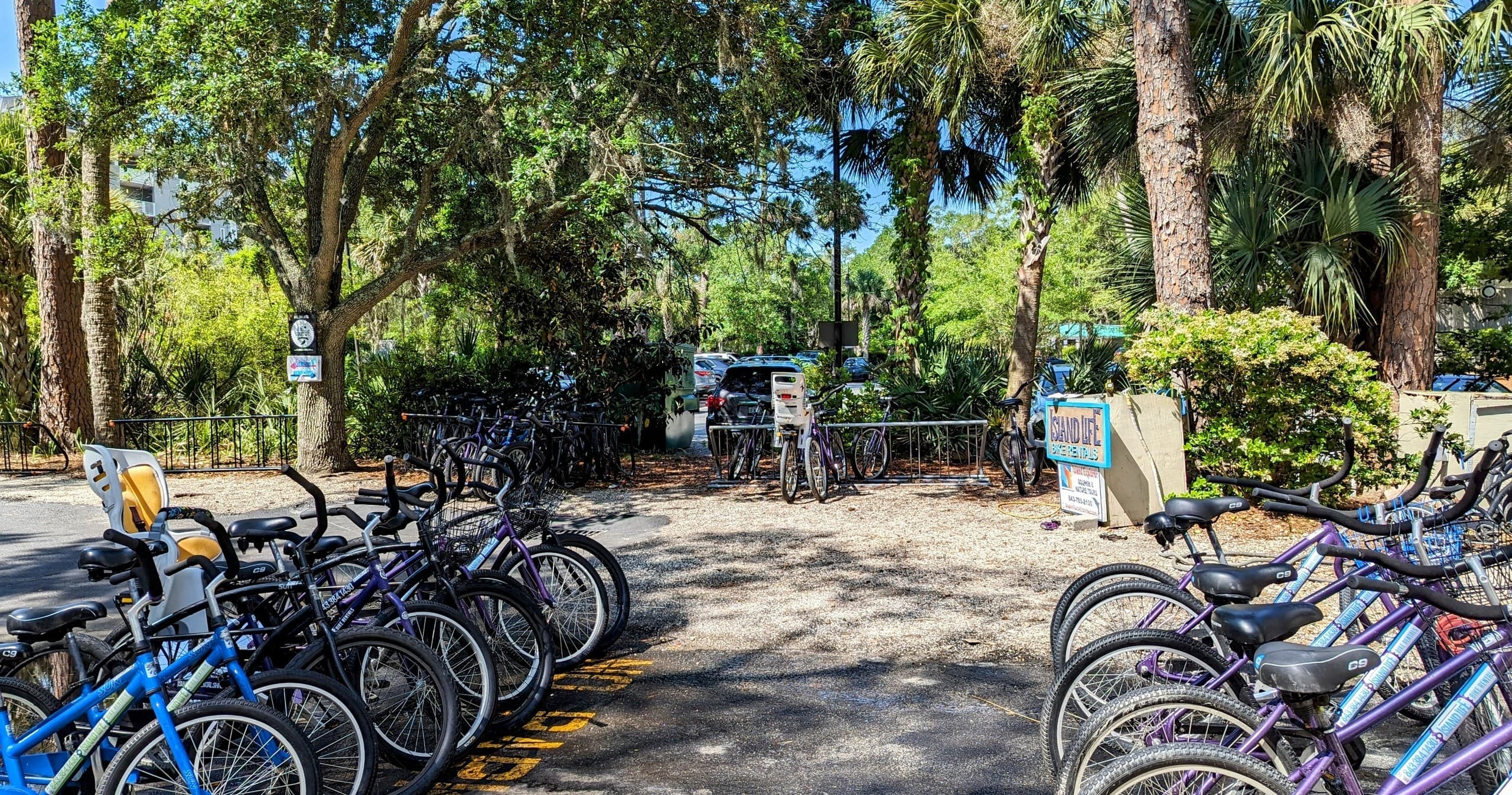 Explore Hilton Head Island on Two Wheels with Flexible Bike Rentals