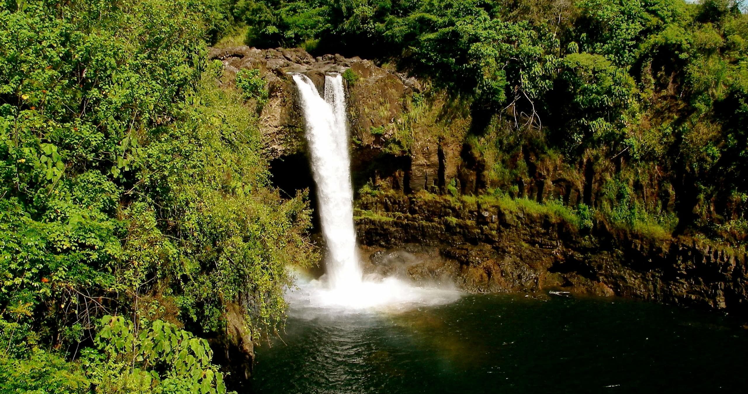 Secrets Of Hamakua Hilo Zipline Adventure in Hawaii