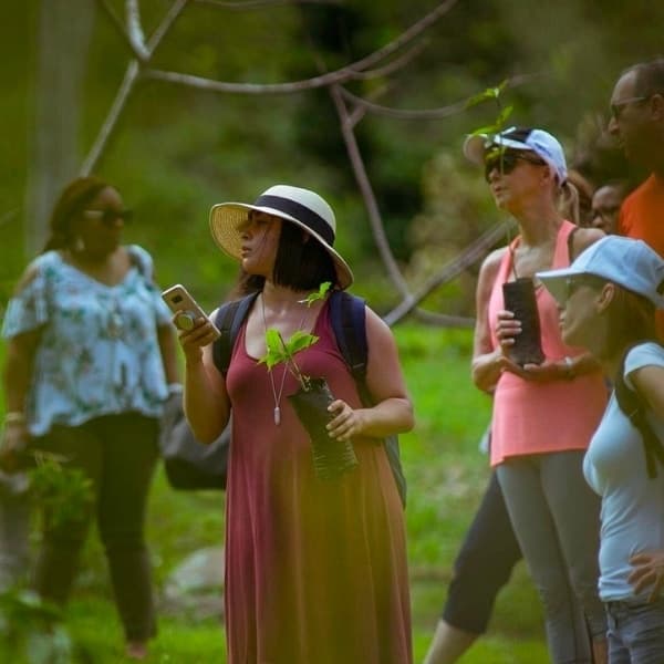Blue Pond Hike & Culinary Tour in Puerto Rico