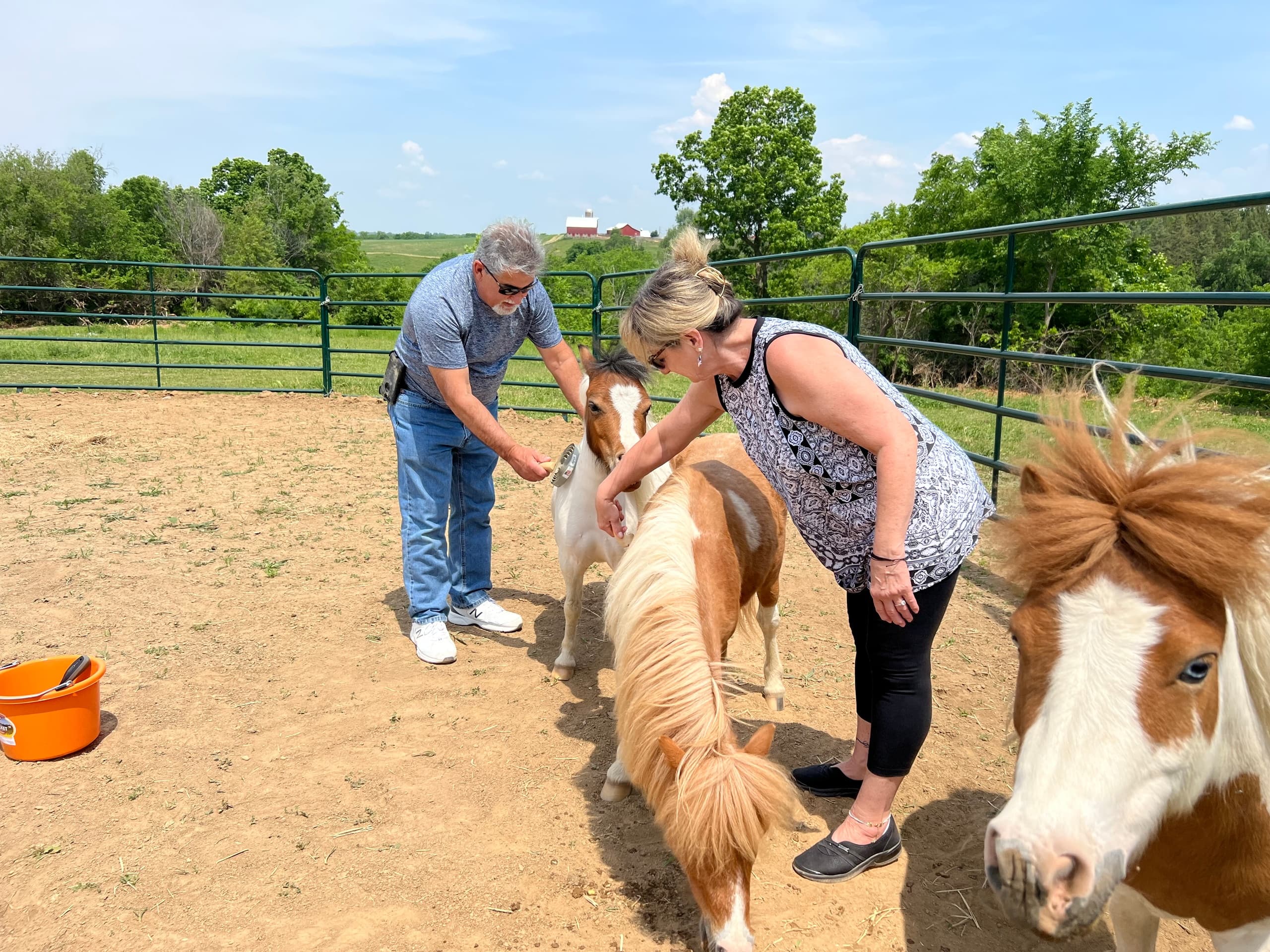 The Mini Experience in Galena: Family-Friendly Outdoor Fun for All Ages