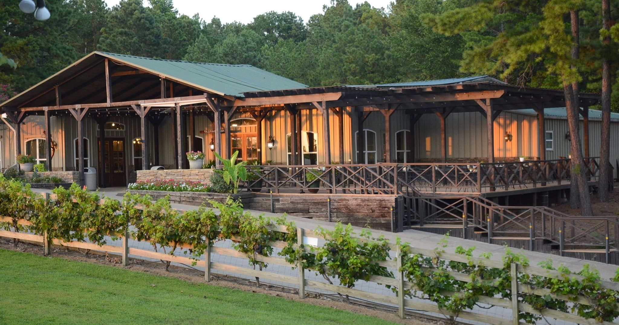 Winery Tour at Enoch's Stomp Vineyard & Winery