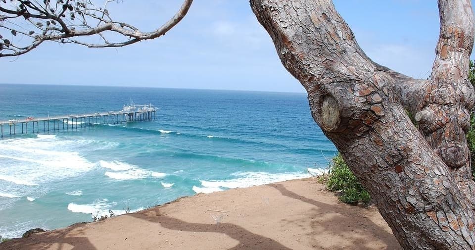 La Jolla Coastal 5K Running Tour in San Diego