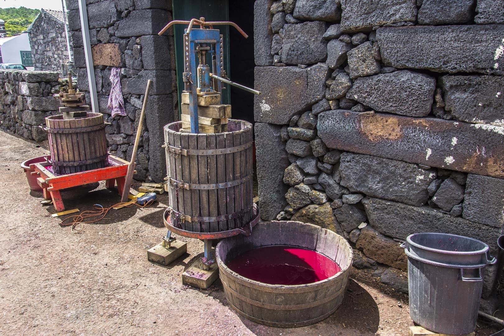 Wine Culture Half-Day Tour on Pico with Futurismo Azores Adventures