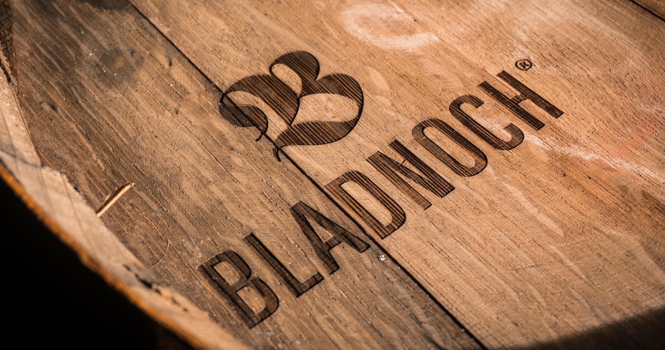 Whisky Tasting & Tour at Bladnoch Distillery in Scotland