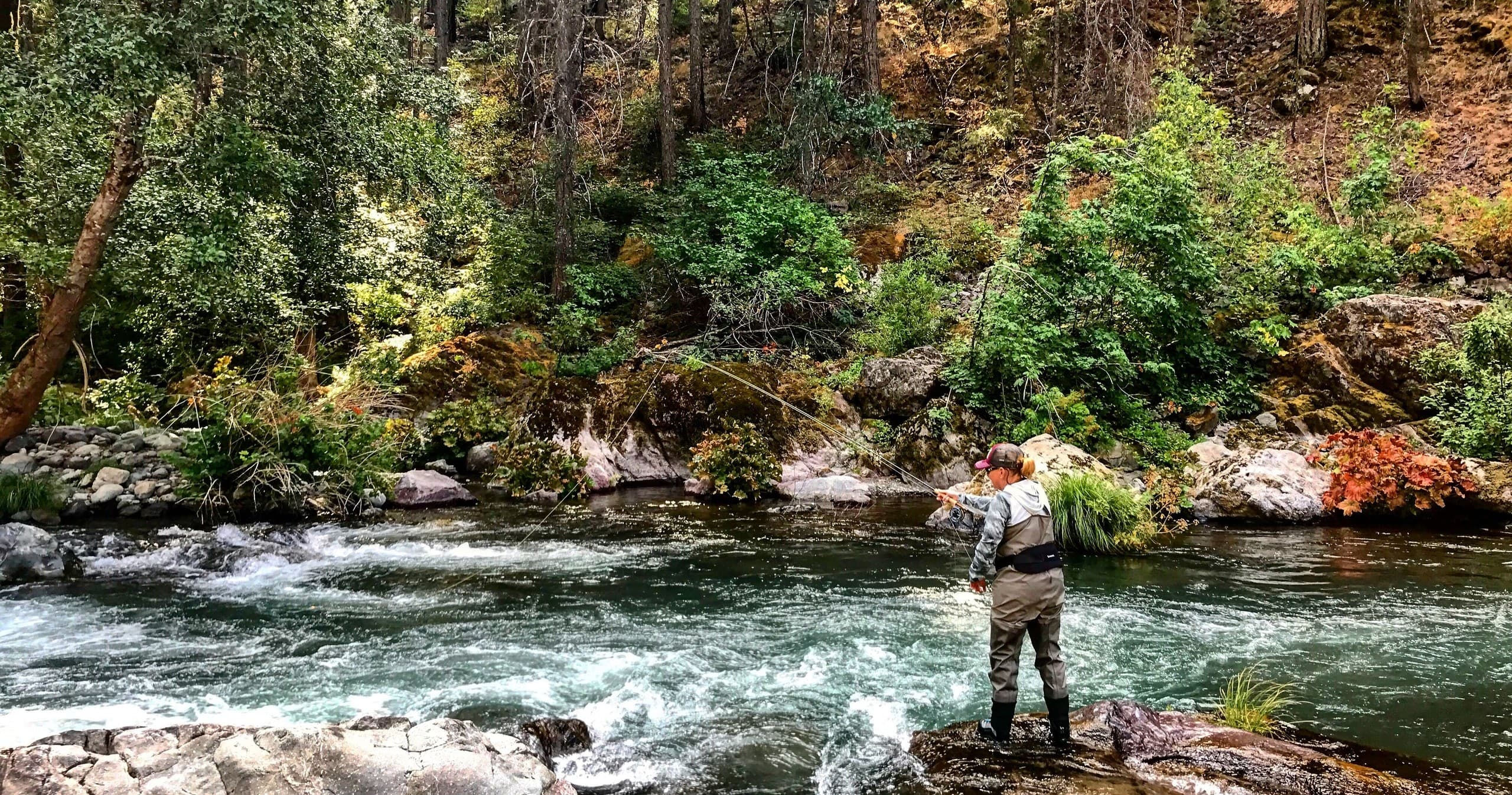 McCloud River Full Day Trip: Premier Fishing in California