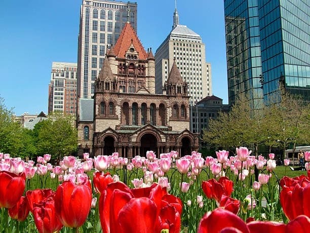 All Day Boston Experience: Private City and Food Tour