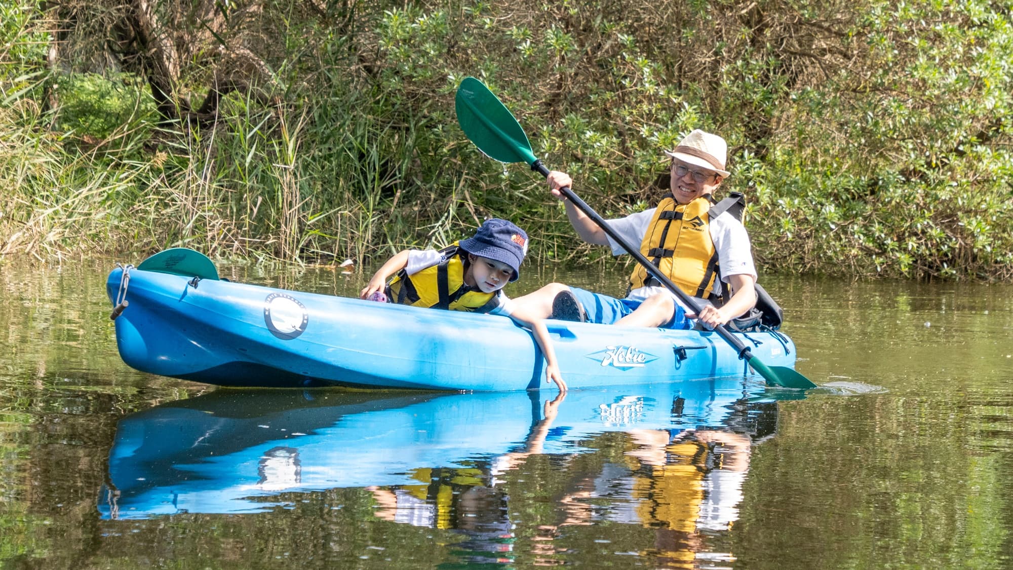 Explore the Bega River Kayak Tour: A 3-Hour Paddle Through New South Wales’ Scenic Waterways