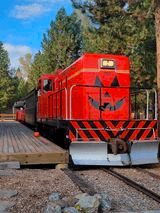 Halloween Train Adventure with Sumpter Valley Railroad