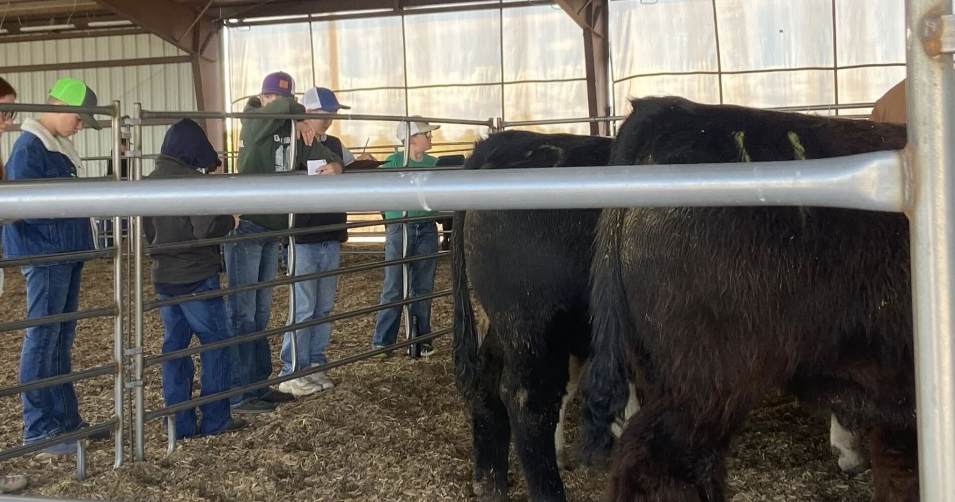 Stall and Pen Rentals at Cherry County Fairgrounds — Valentine, NE