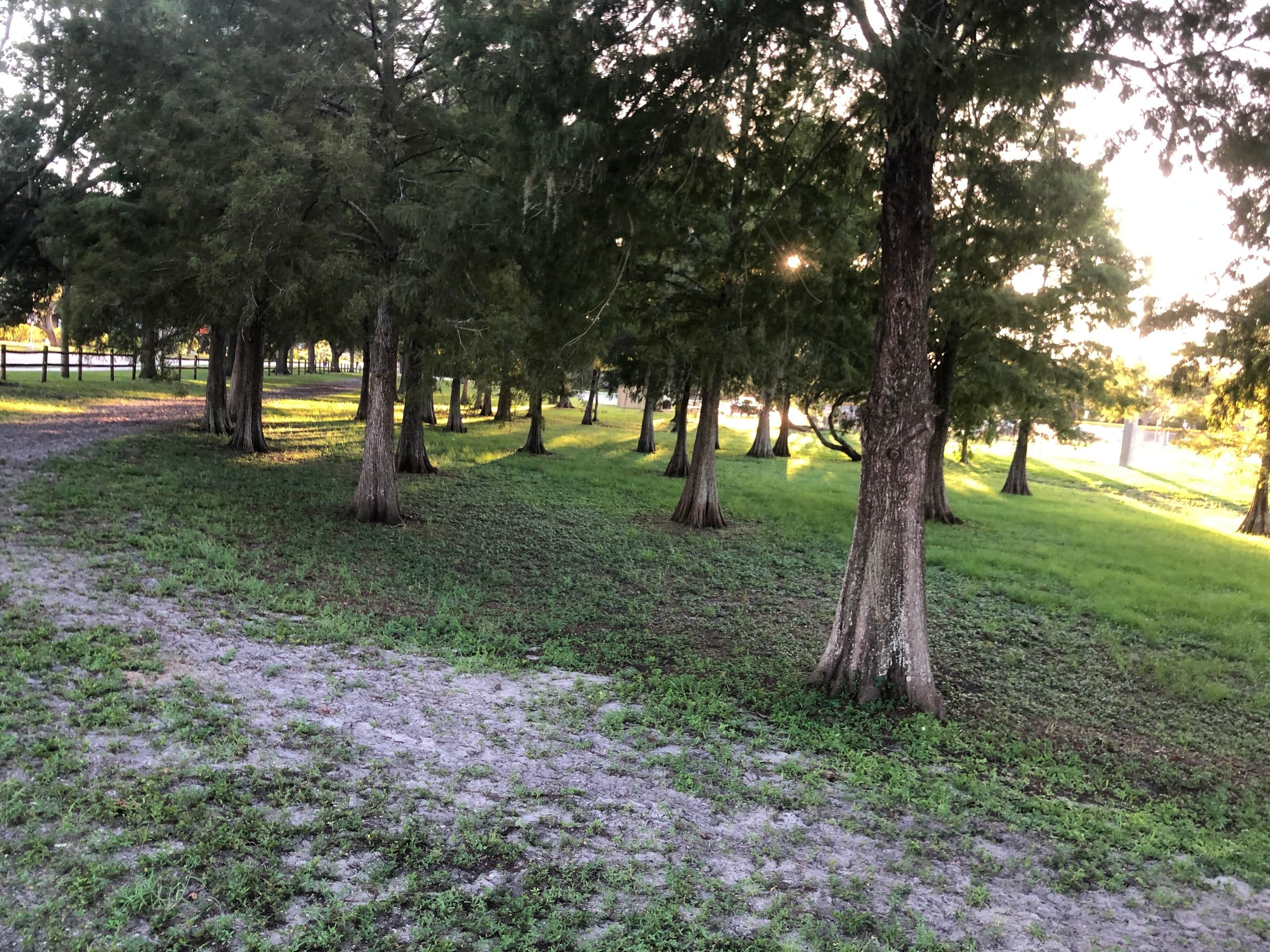 Scenic Trail Rides in Pinellas Park, Florida