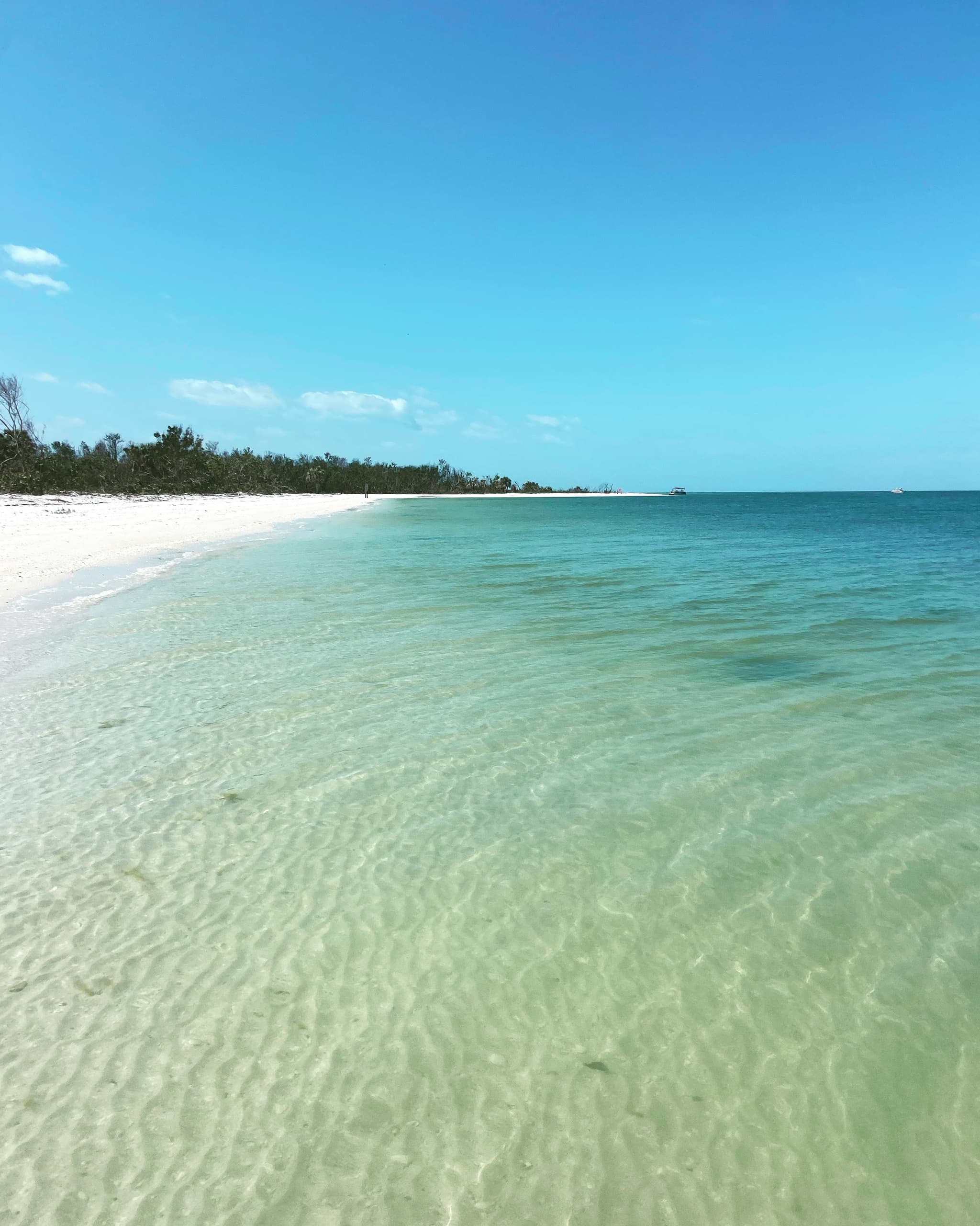 Tiki Boat Beach Tour with Tiny Tiki Tours in Fort Myers Beach