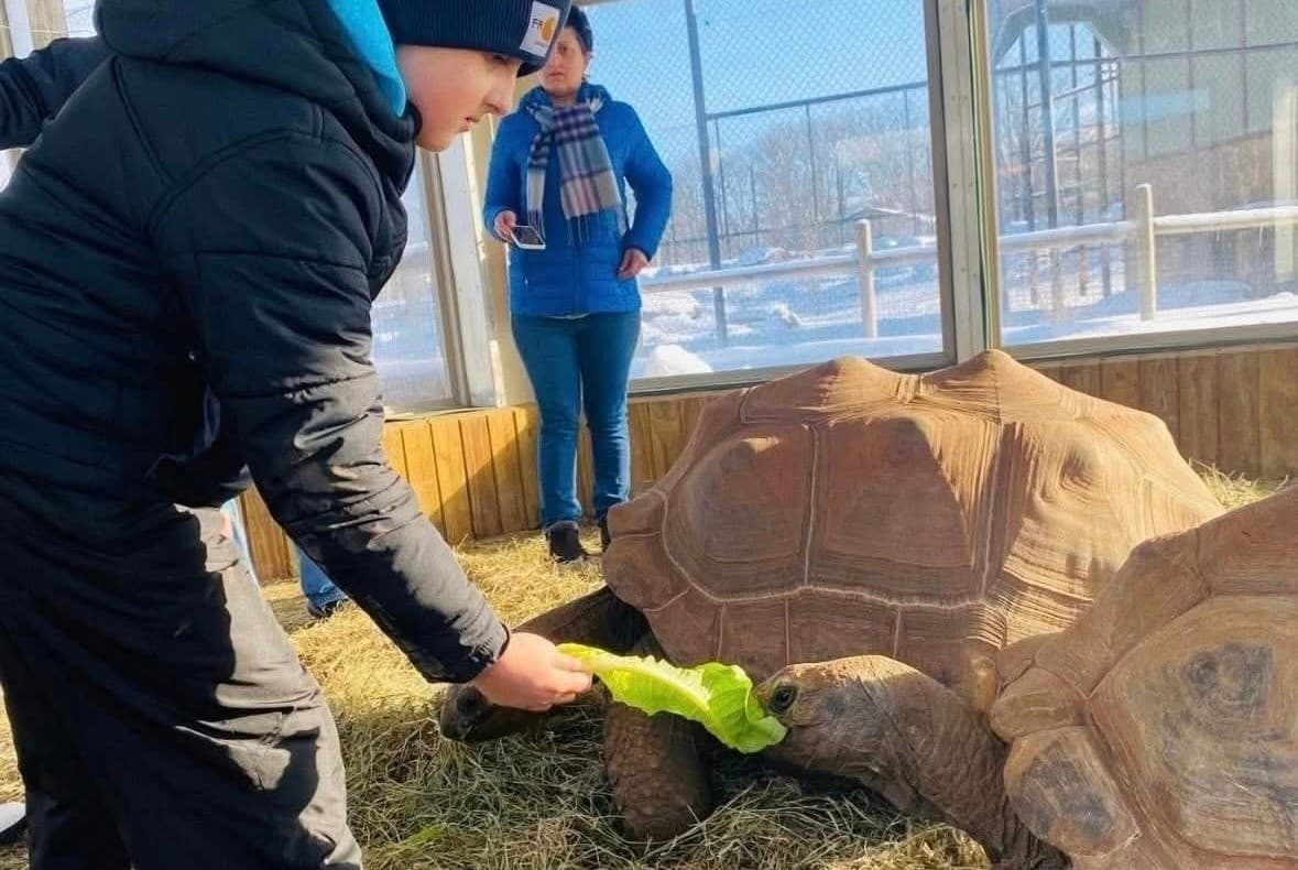 Meet the Aldabra Giants: Grove City’s Tortoise Encounter