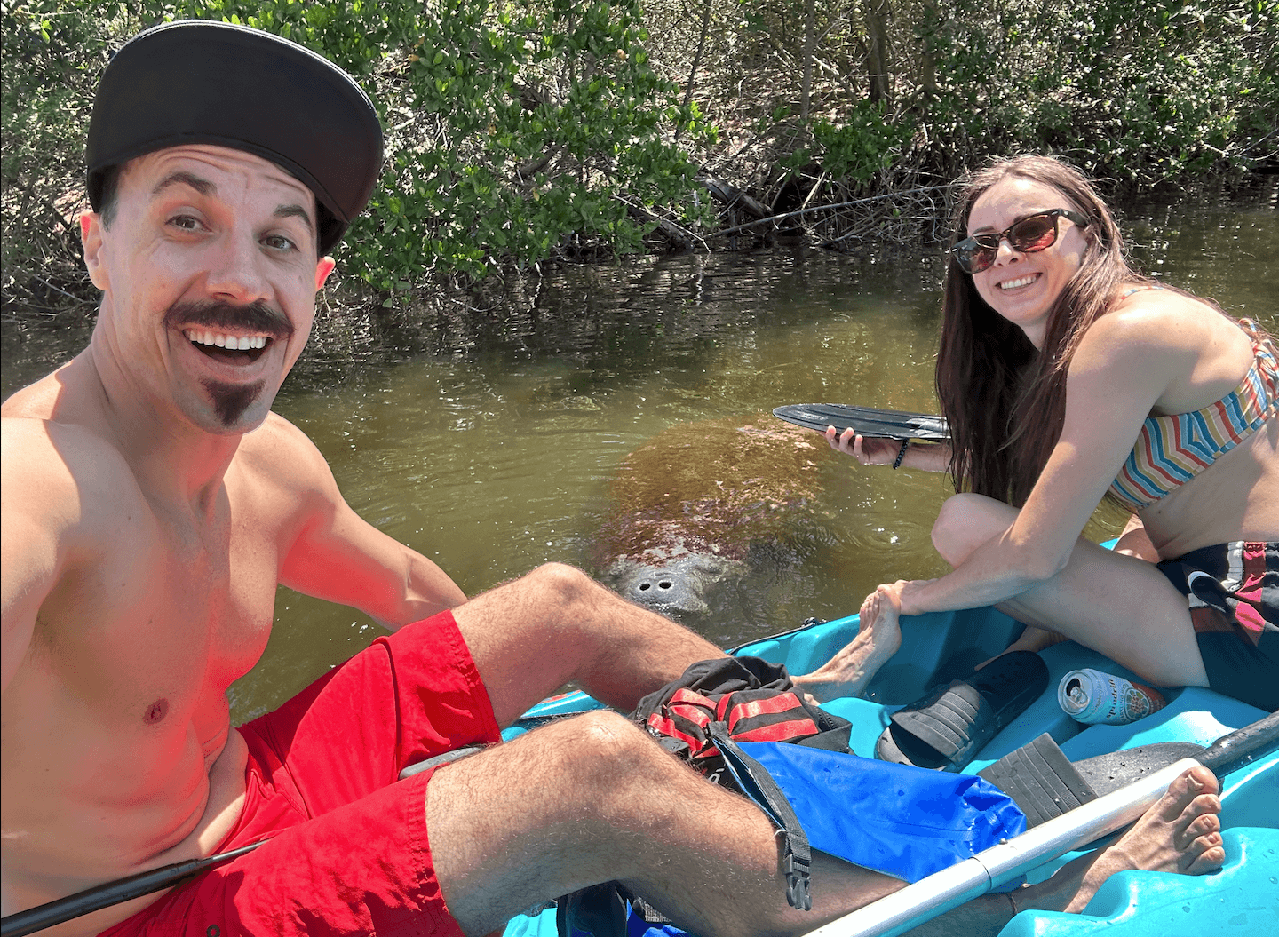 Dolphin & Manatee Paddle Tour with Three Brothers Boards