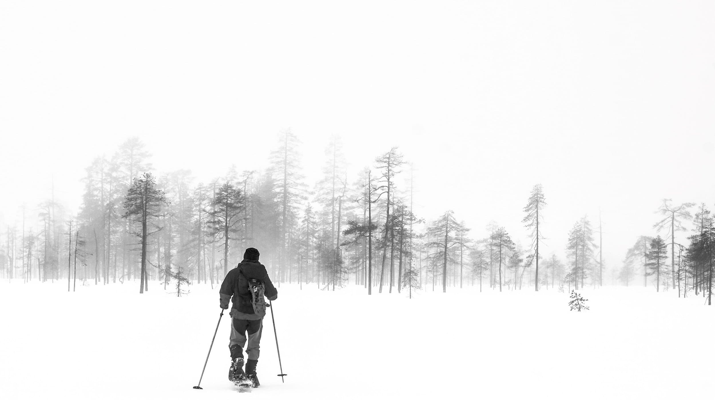 Snowshoeing & Photography in Riisitunturi: Arctic 'Tykky' Landscapes and Winter Light