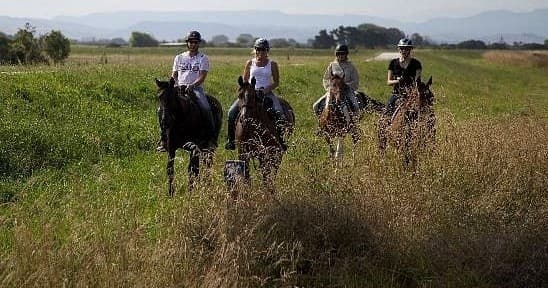Equestrian Wine & Cheese Escape by Boutique Horsetreks