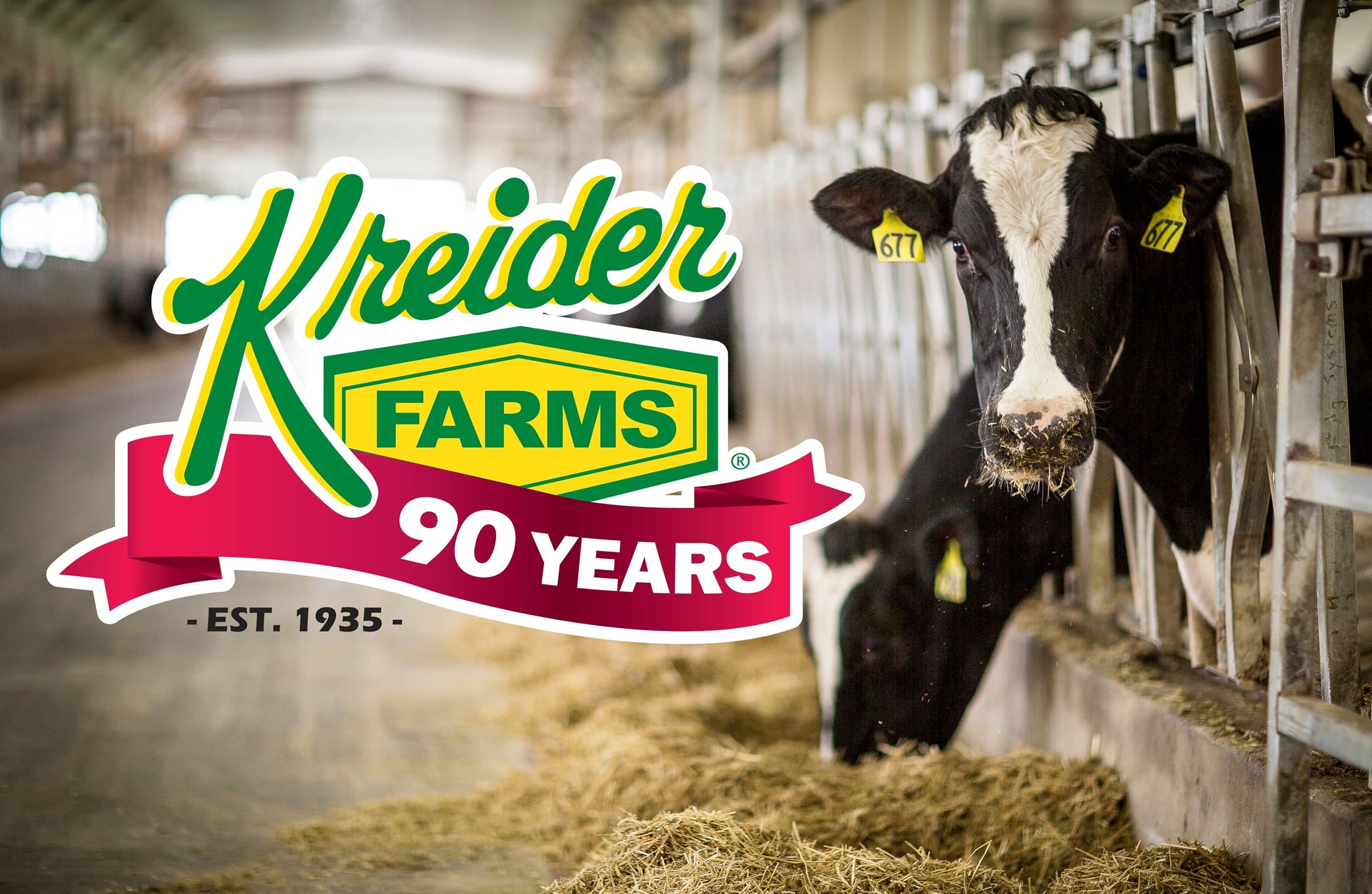 Dairy Farm Adventure at Kreider Farms in Pennsylvania