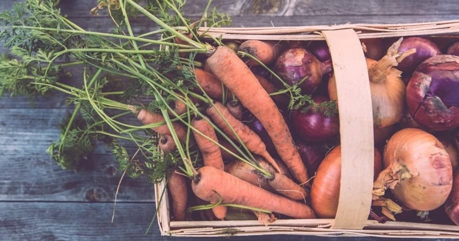 Outdoor Food & Farm Experience at Hudson Valley Food and Farm Tours