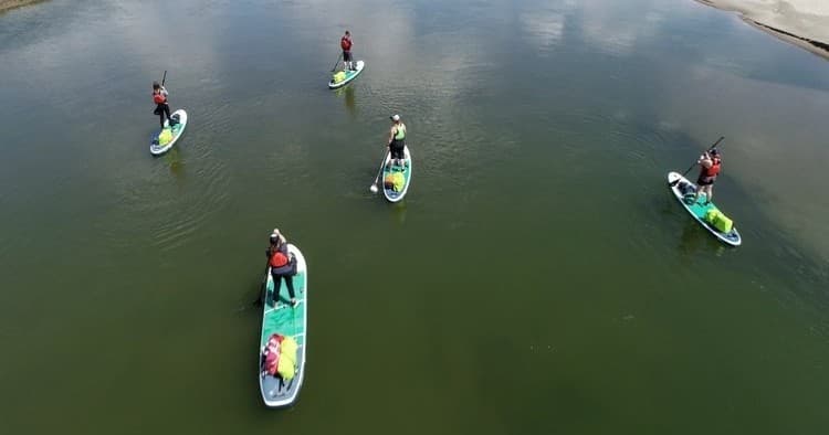 Group paddleboarding on wide river, aerial scenic activity