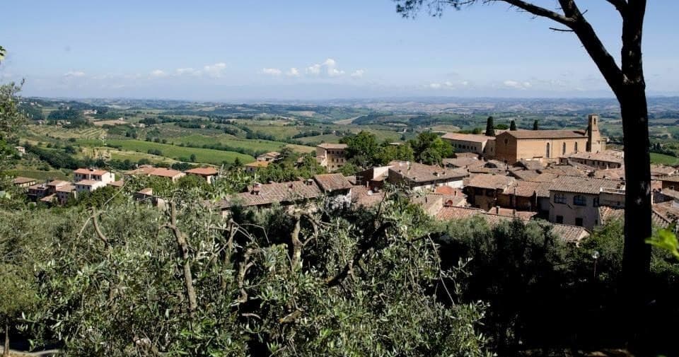 Tuscan Wine & Culinary VIP Tour with Under The Tuscan Sun