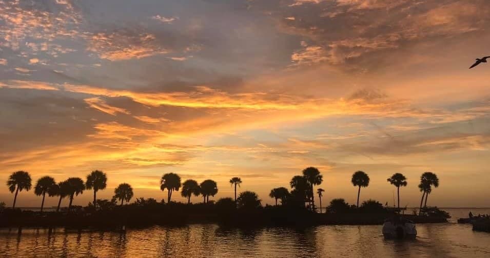 Coastal Lagoon Eco-Tour on Merritt Island: Manatee and Dolphin Wildlife Boat Tours