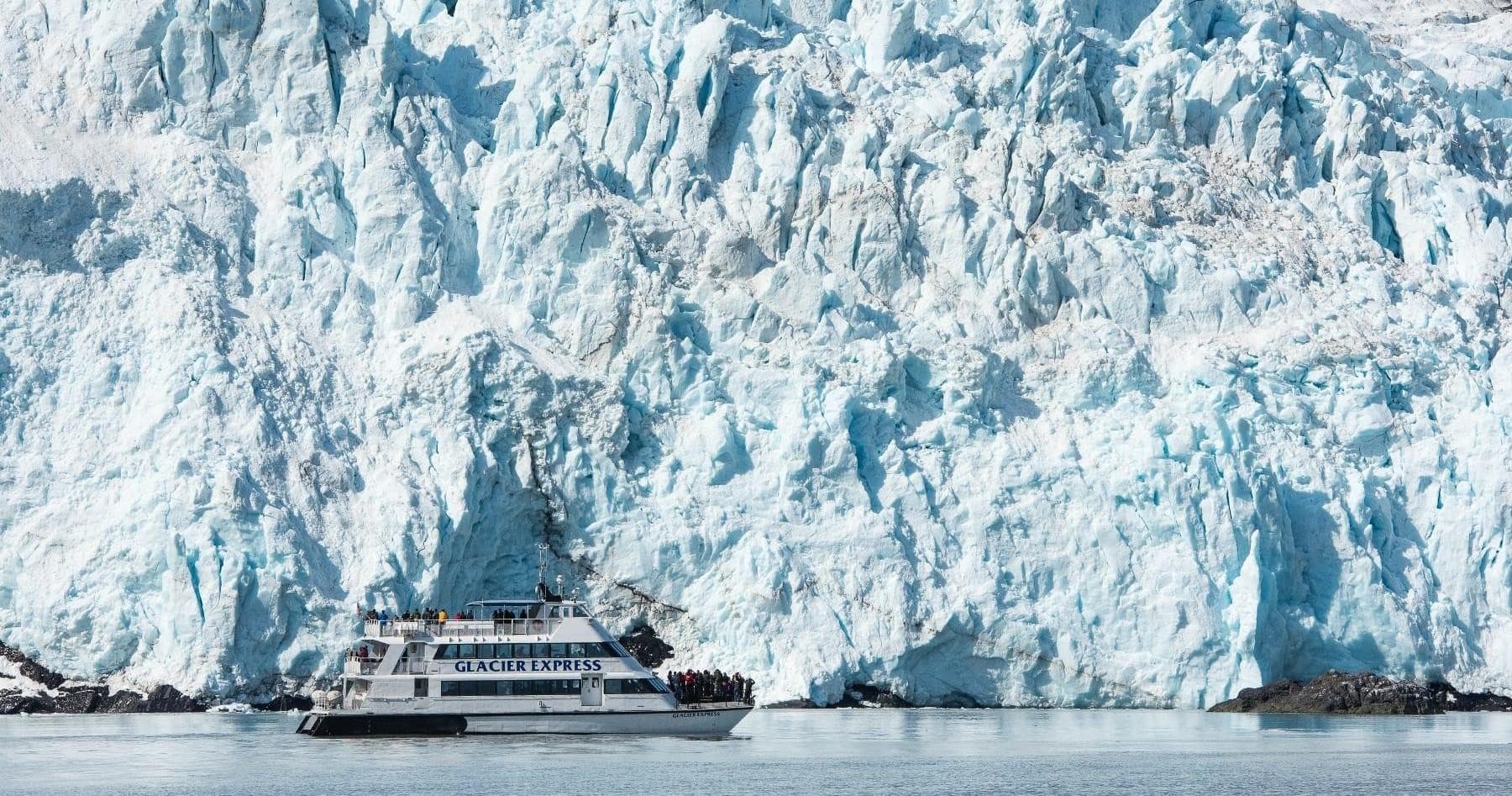 Major Marine Tours: 7.5-Hour Kenai Fjords National Park Cruise
